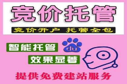 SEM竞价优化实战案例：精准定位目标客户